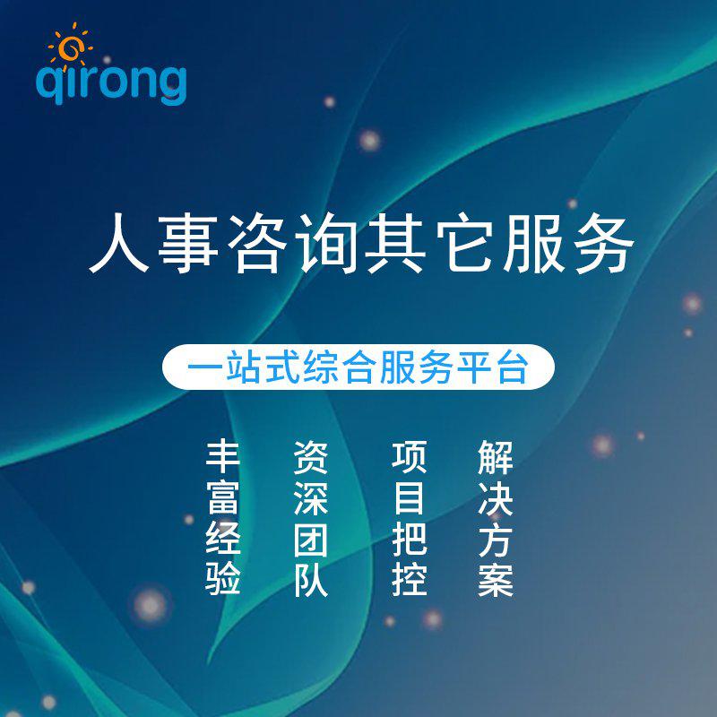 人事咨询其它服务