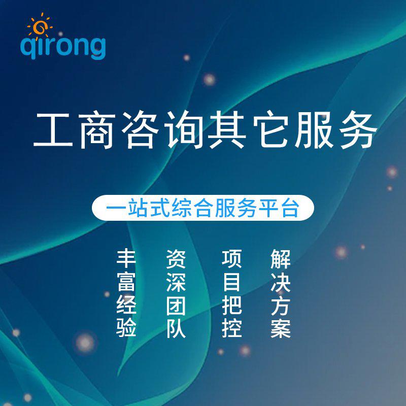 工商咨询其它服务